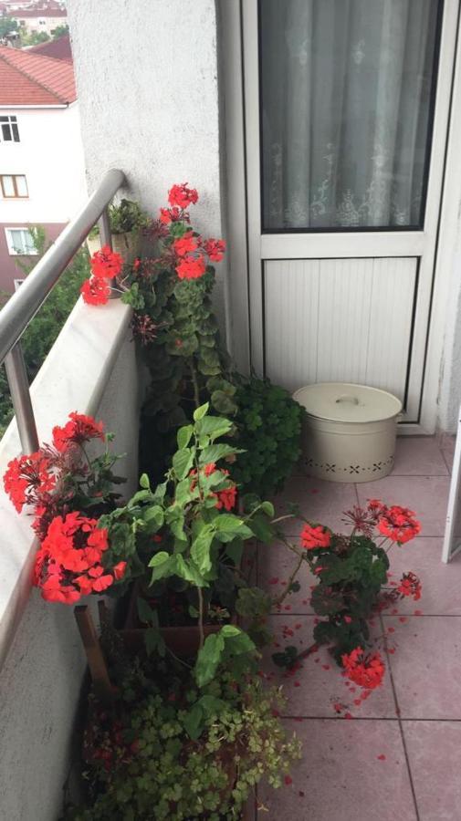 Single Room, Одноместная Комната В Доме, Chambre D'Une Personne, Habitacion Individual İstanbul Dış mekan fotoğraf