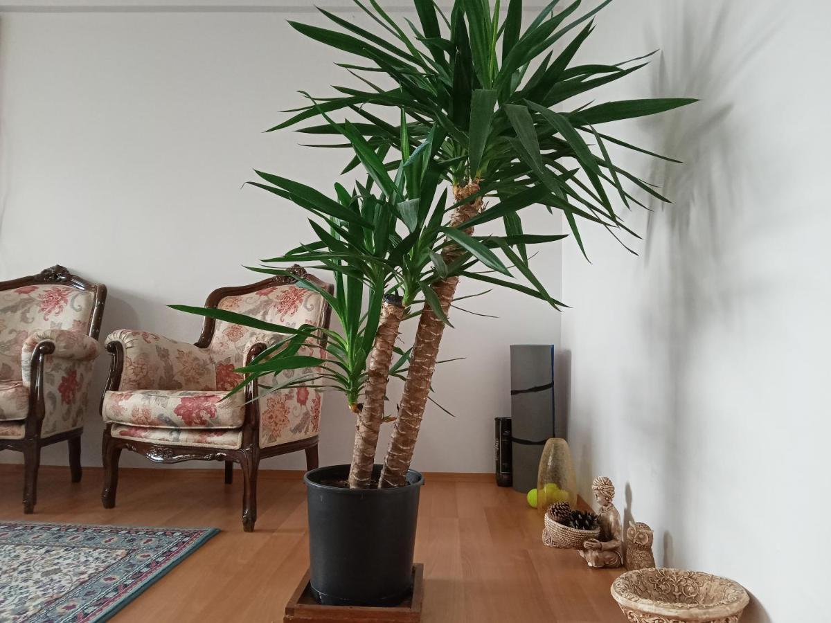 Single Room, Одноместная Комната В Доме, Chambre D'Une Personne, Habitacion Individual İstanbul Dış mekan fotoğraf